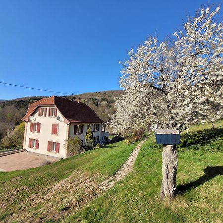 Villa Domaine De La Charriere Sur 63 Ares - 8 Pers Grand Confort à Neuviller Extérieur photo